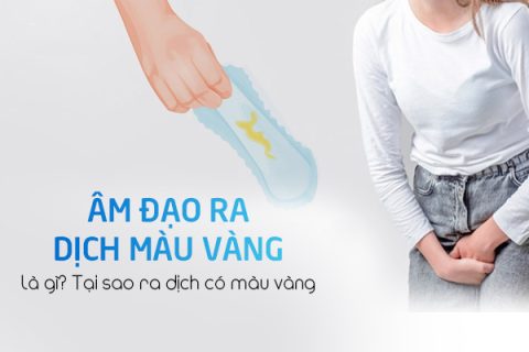 Âm đạo ra dịch màu vàng là gì Tại sao ra dịch có màu vàng