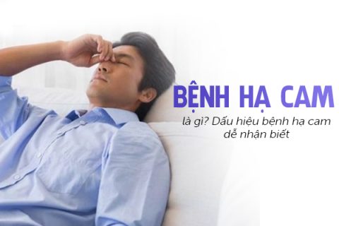 Bệnh hạ cam là gì Dấu hiệu bệnh hạ cam dễ nhận biết