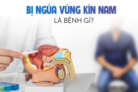 Bị ngứa vùng kín nam là bệnh gì
