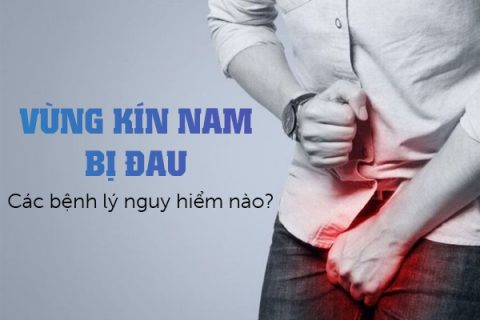 Các bệnh lý nguy hiểm khi vùng kín nam giới bị đau