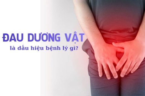 Đau dương vật là dấu hiệu bệnh lý gì
