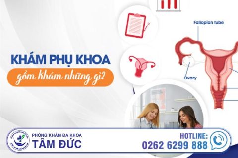 Khám tổng quát phụ khoa là khám những gì
