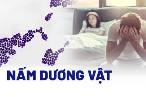 Nấm dương vật là gì Chữa nấm dương vật hiệu quả