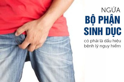 Ngứa bộ phận sinh dục có phải là dấu hiệu bệnh lý nguy hiểm