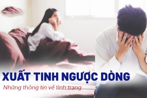 Những thông tin về xuất tinh ngược dòng