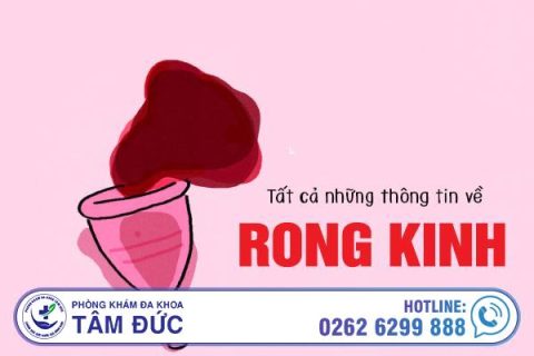 Tất cả những thông tin về rong kinh