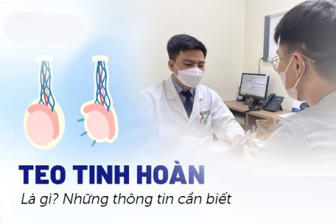 Teo tinh hoàn là gì Những thông tin cần biết về teo tinh hoàn