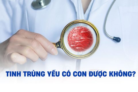 Tinh trùng yếu có con được không